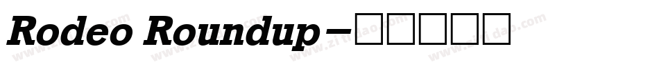 Rodeo Roundup字体转换